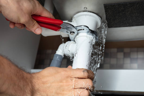Best Fire Damage Restoration  in Clara City, MN