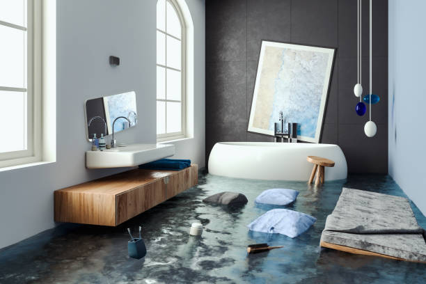 Best Commercial water damage restoration  in Clara City, MN