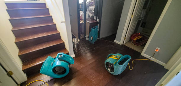 Best Water damage restoration experts  in Clara City, MN