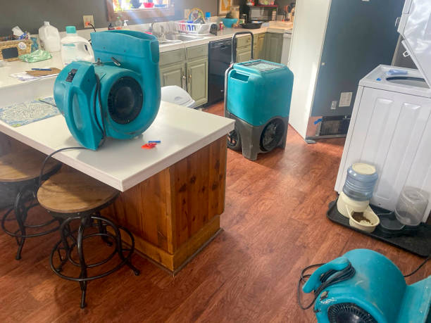 Best Residential water damage restoration  in Clara City, MN