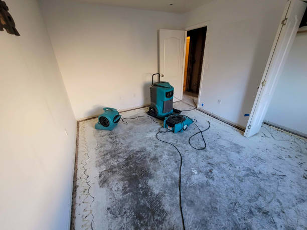Best Water damage restoration near me  in Clara City, MN