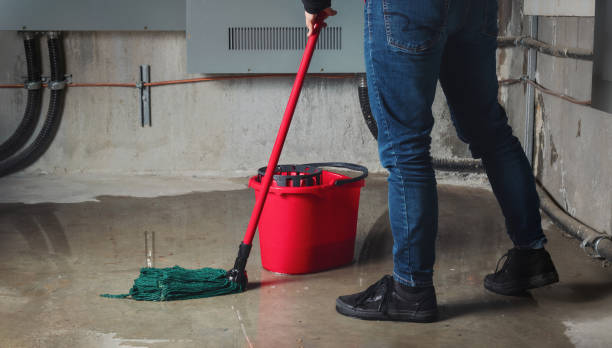Best Sewage cleanup and water damage restoration  in Clara City, MN