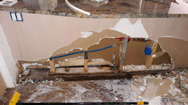 Best Water damage contractors near me  in Clara City, MN