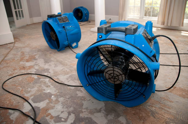 Best Local water damage restoration  in Clara City, MN