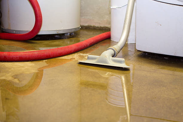 Best 24/7 water damage repair  in Clara City, MN