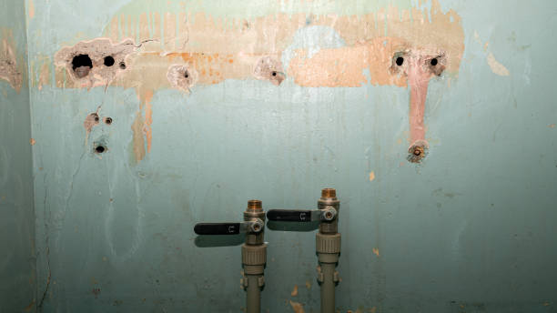 Best Flood damage cleanup  in Clara City, MN