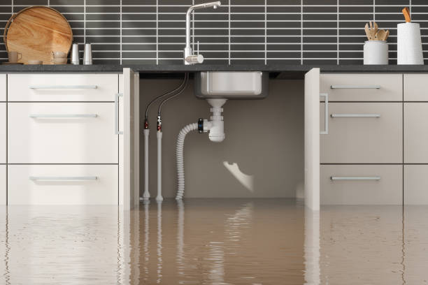 Professional Water damage restoration in MN