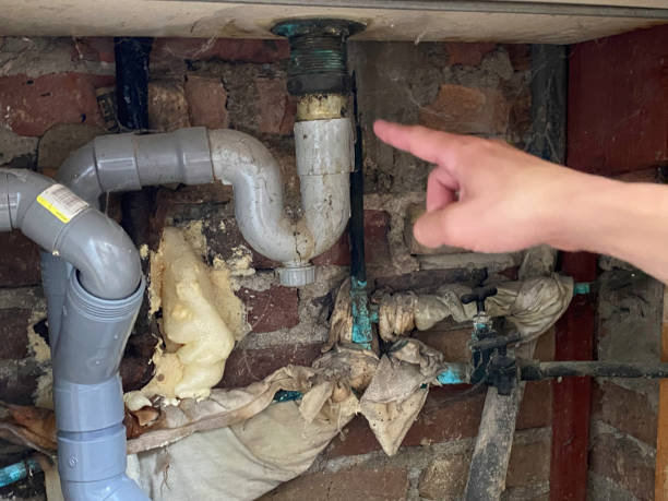 Best Water damage restoration near me  in Clara City, MN