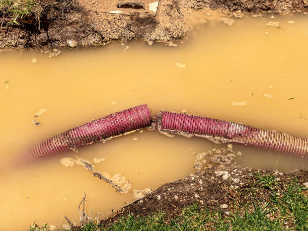Best 24-hour water damage restoration  in Clara City, MN