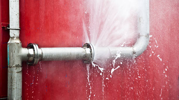 Best Mold removal after water damage  in Clara City, MN